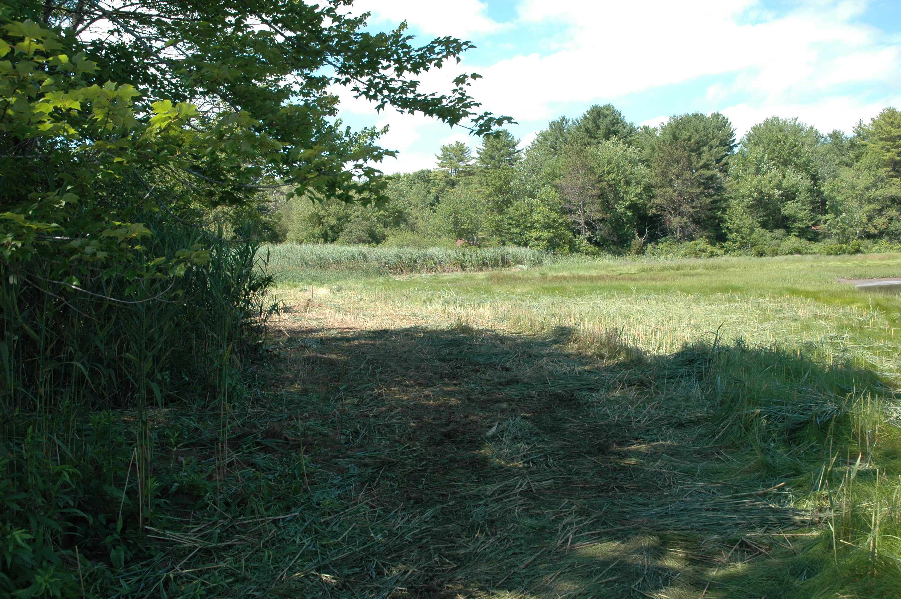 Parsons Creek