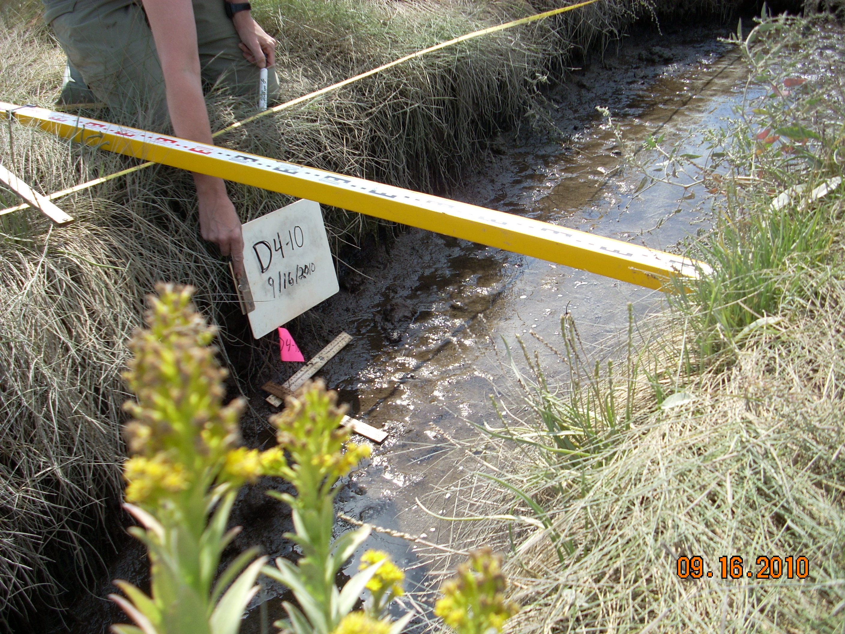 US Fish and Wildlife Service
