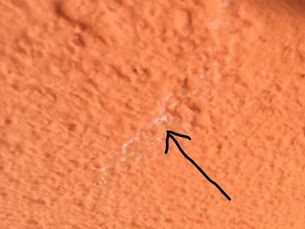 Schneckenspuren an Putzfassaden?