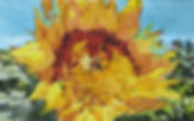 image1 (1).jpeg