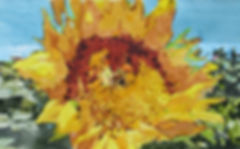 image1 (1).jpeg