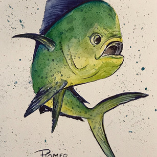 Roberta Romeo Fish watercolor.jpeg