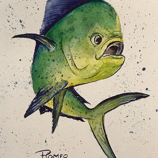 Roberta Romeo Fish watercolor.jpeg