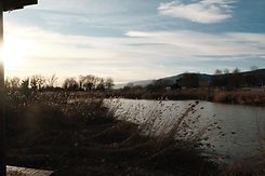 DSCF0514.JPG