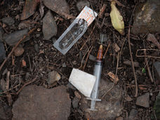 What The Green Party’s Drug Policy Actually Means