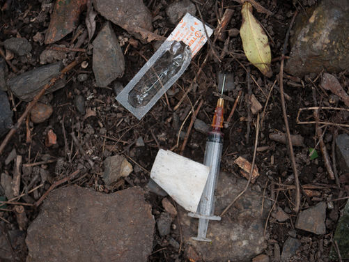 What The Green Party’s Drug Policy Actually Means