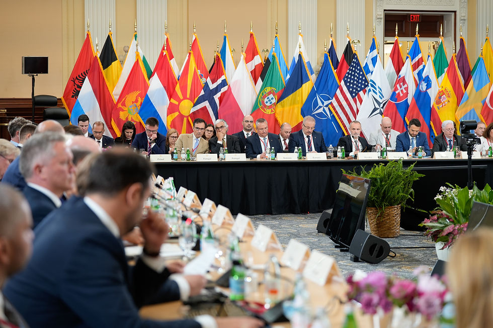 Does NATO’s Future Involve Defence Minilateralism?