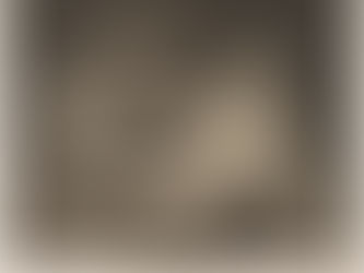 Your Epstein Outrage isn’t Helping – Lucretia’s Rape and Patriarchal Veneers of Concern