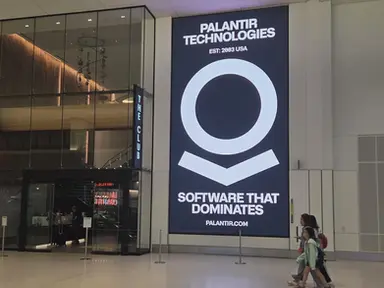 Beyond Oversight: Palantir and the Making of a Controlled State
