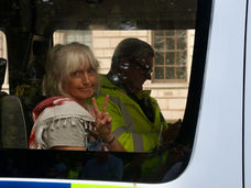 Where Do You Go When You Feel Like Humanity Has Failed?