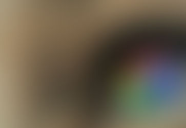 The Architecture of Attention