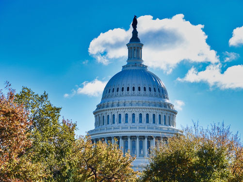 Gerrymandering and Political Good Behaviour: Why the Dems Can Still Lose