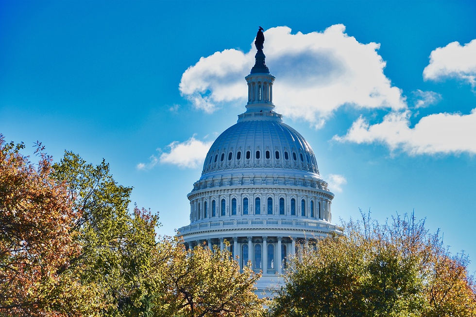 Gerrymandering and Political Good Behaviour: Why the Dems Can Still Lose