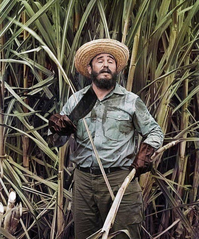 ‘He Who Controls the Resources Controls the World’ – How the Embargo Became the Blueprint for Quiet Violence