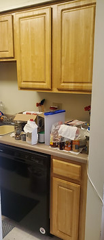 20230319_102829.jpg