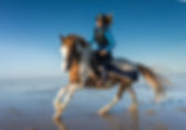 AdobeStock_130757127.jpeg