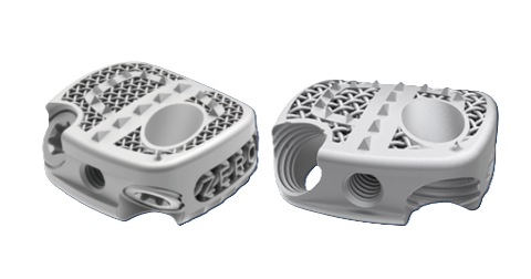 Scorpn 1_no background.png