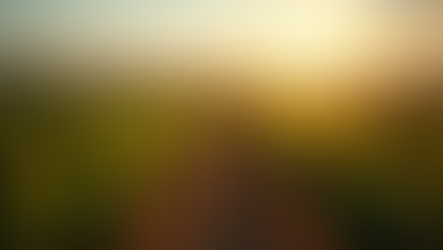 Cherries, Minerality & Notes of Mistruth