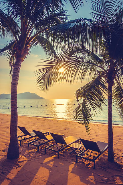 beautiful-beach-sea-with-palm-tree.jpg
