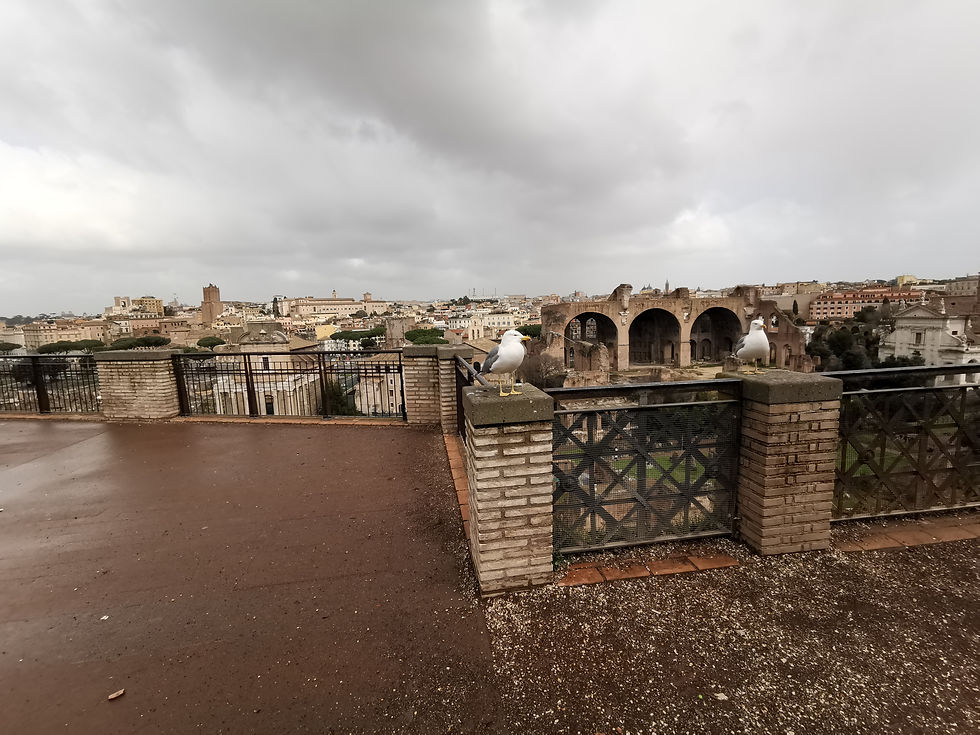 city-wonders-rome