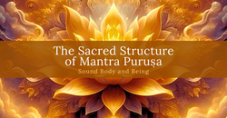 soh retreat -wix-banner