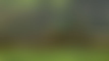 Food Shortages. Government creating artificial food shortage by telling Farmers to destroy crops