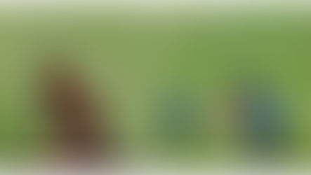 Cricket, Football and Rugby stars Collapse on Pitch during Games, often following Covid-19 Jabs