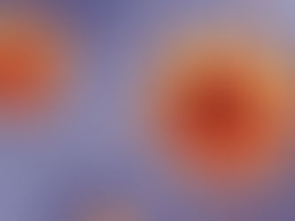 Some Covid-19 horror stories you may have missed