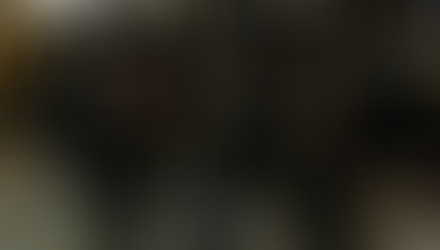 THE CLOWNS AND JESTERS OF THE JANUARY 6TH VIGIL