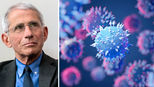 FAUCHI Spread of Virus by Unvaxxed Will cause more Dangerous Variants, but Opposite True say Experts