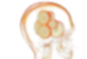 head4_0_edited.png