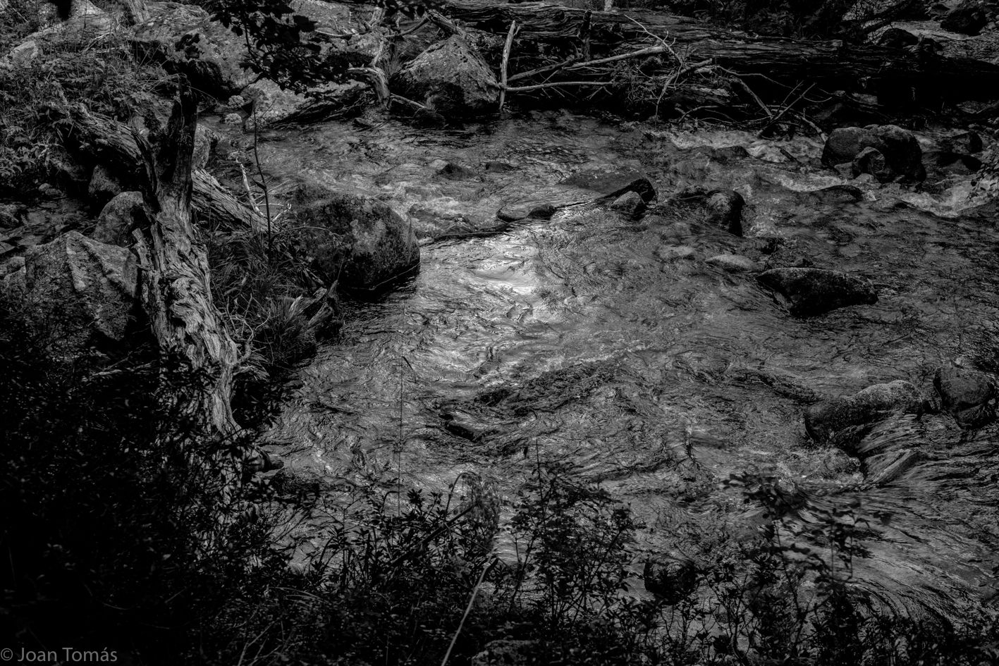 Derives i senders VII-33 X 48 cm.