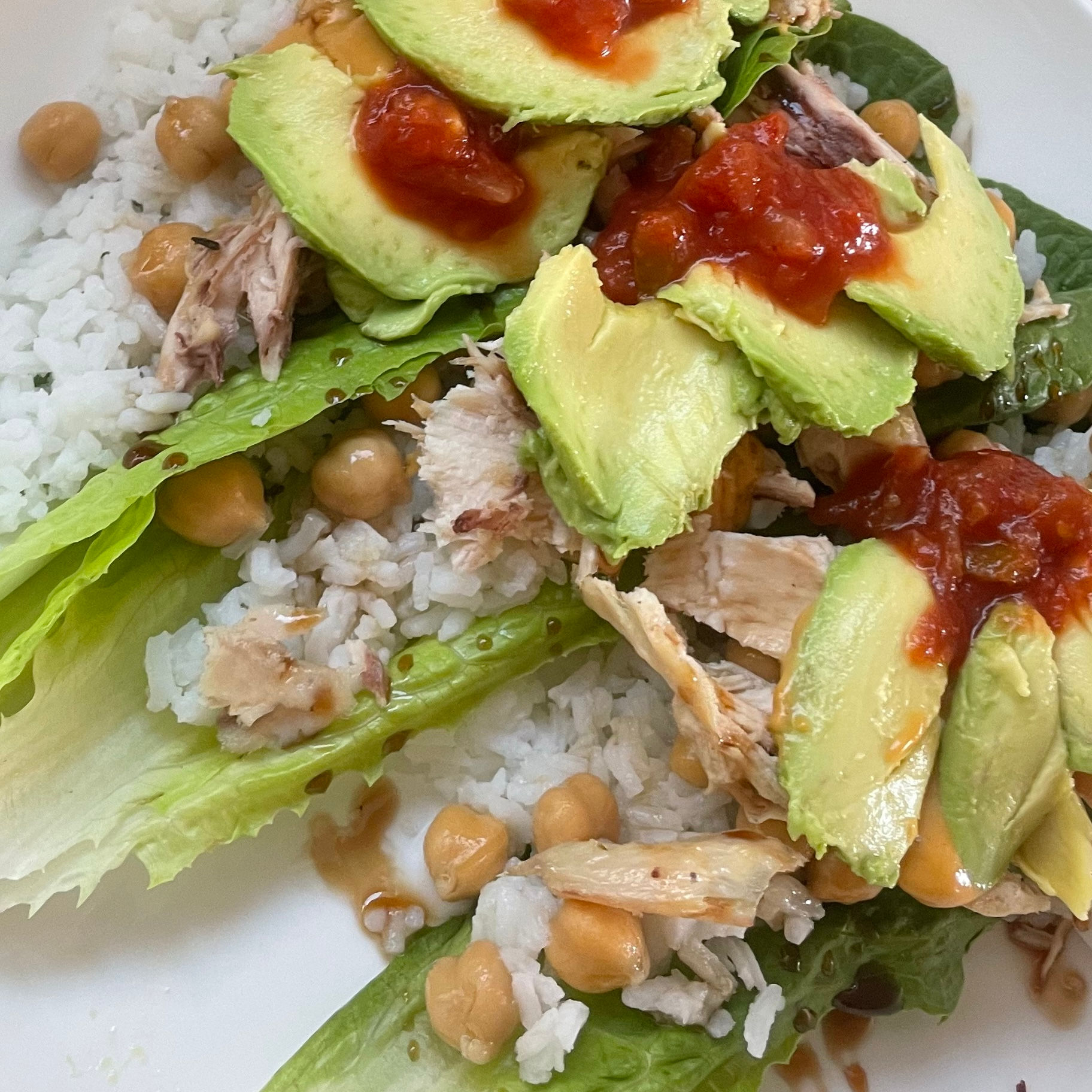 Basic Package - Month 1 Online Nutrition Programming