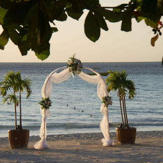 Weddings