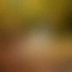 a bride and groom sharing a private kiss by a river