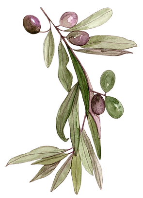 5.png