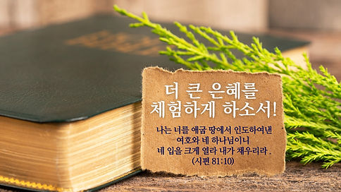 웹사이트 배너 (1).jpg