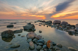 DSC_4590 v2.jpg