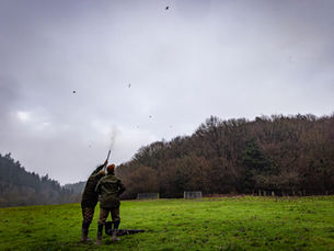 Highdale - North Yorkshire