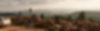 on_vein_dump_banner