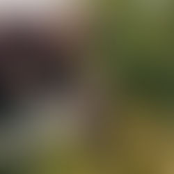 Elderly man in a plaid shirt and child garden together, watering plants with a can. Lush greenery in the background, creating a peaceful mood.