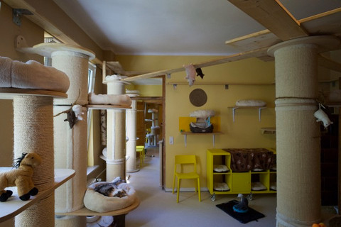 _DSC1820.jpeg