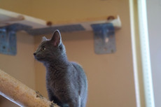 _DSC1788.jpeg