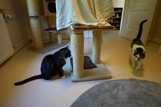 _DSC1857.jpeg