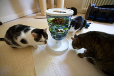 _DSC0093.jpeg