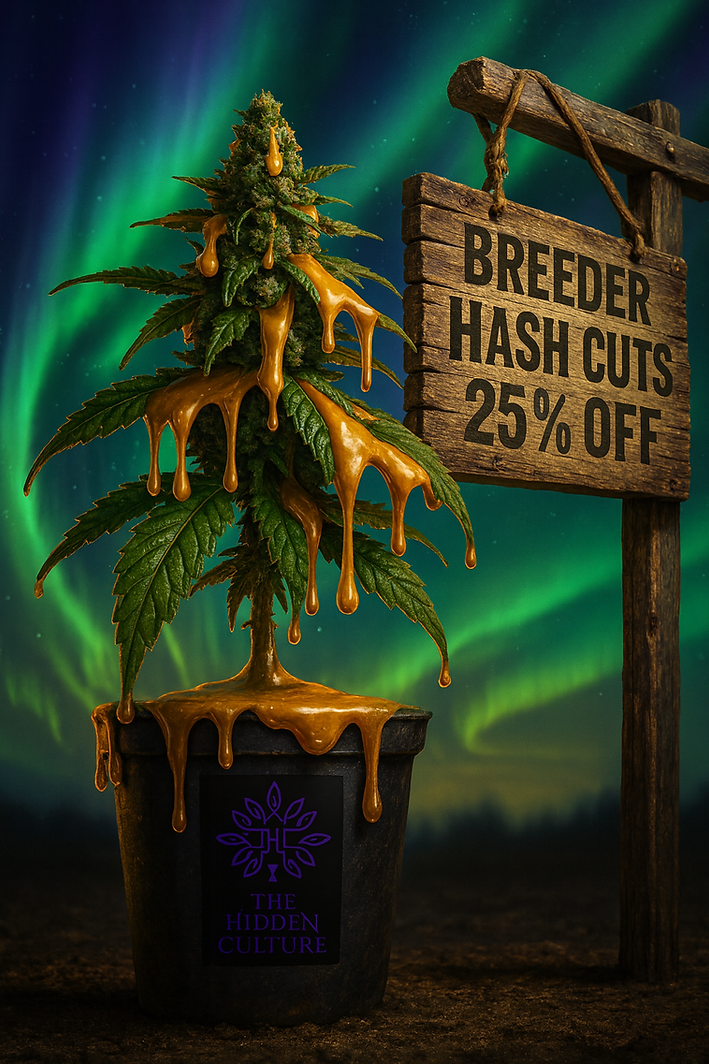 ChatGPT Image Nov 17, 2025, 12_36_50 PM.png