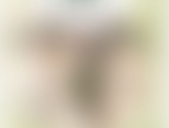 バレエスタジオプライム発表会2026 〜プライムコンサート〜