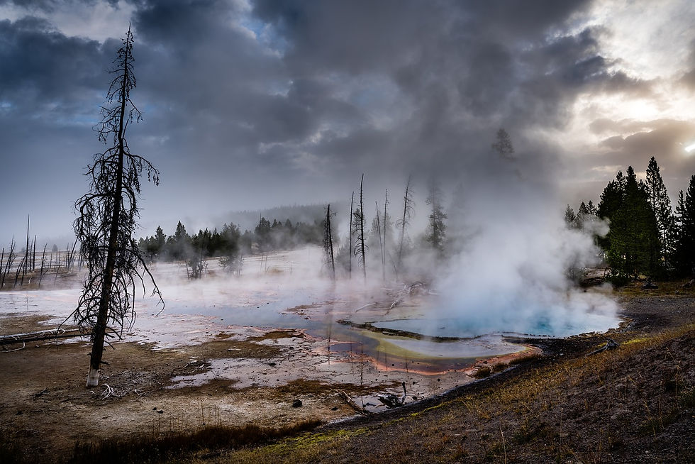 Yellowstone Geyser transporting hot fluids capable of producing mineralisation.