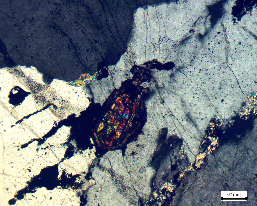 A coarse-grained euhedral zircon from a granite that can be dated using U-Pb geochronology