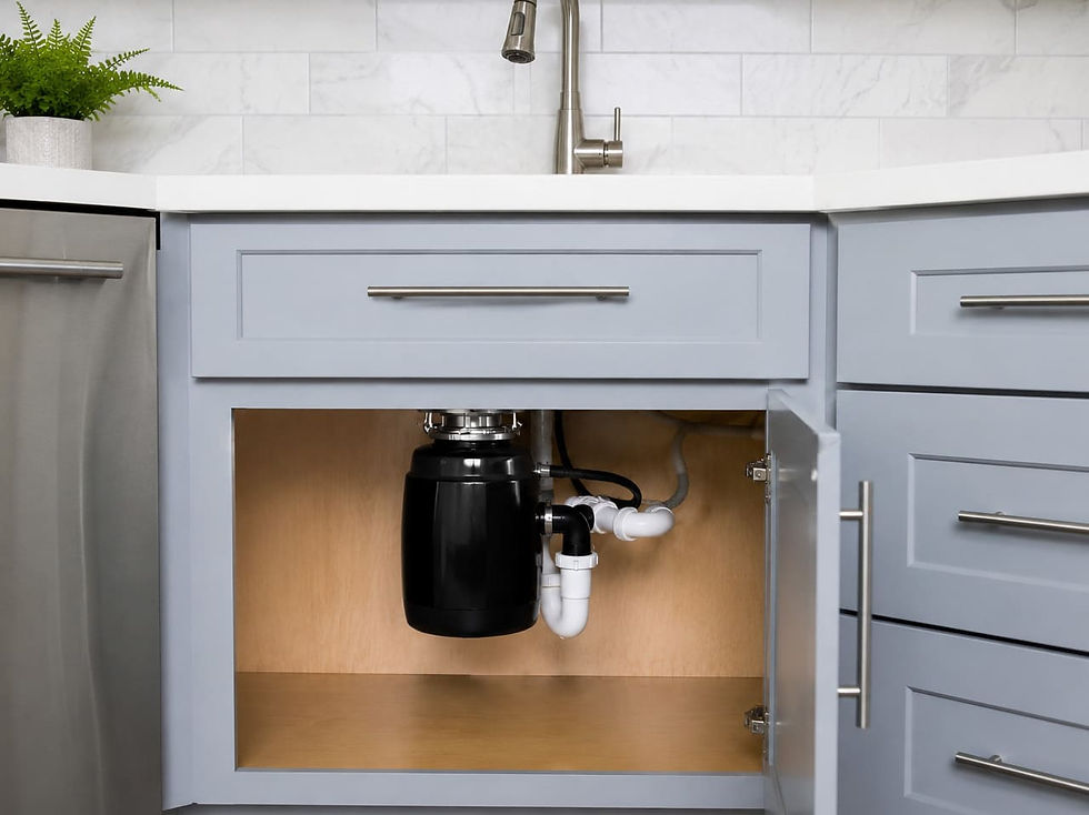 Licensed plumber repairing a garbage disposal under a kitchen sink in Carrollton TX